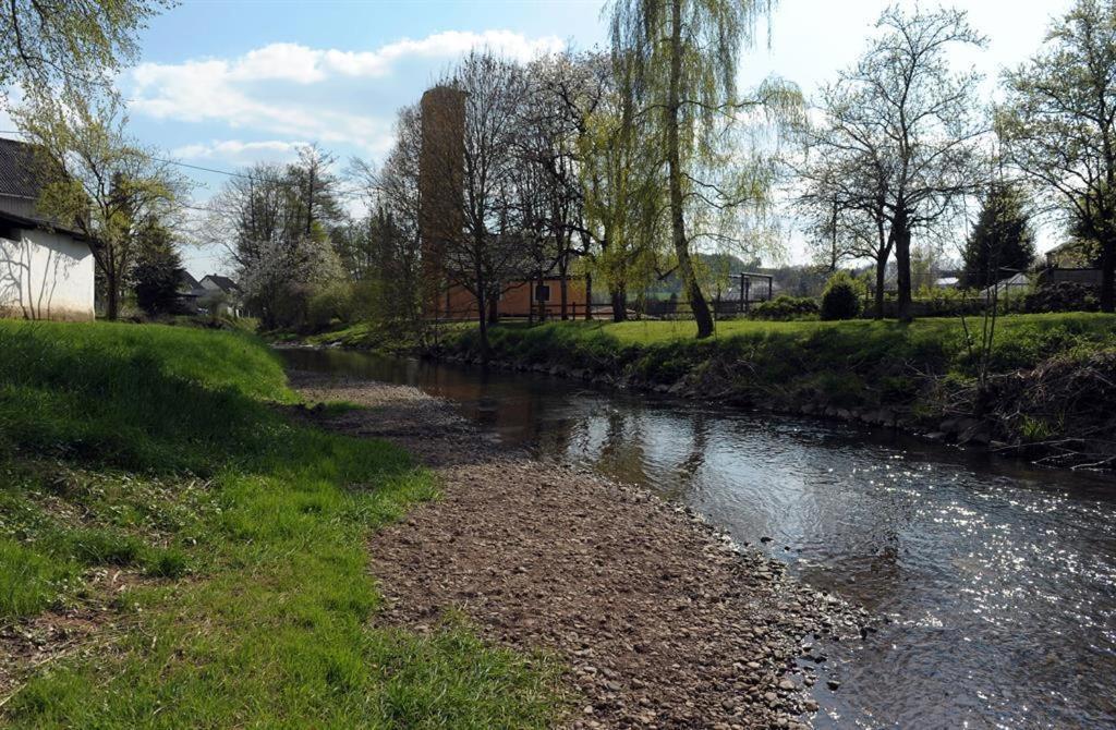 Ferienwohnung Pint Bickendorf المظهر الخارجي الصورة